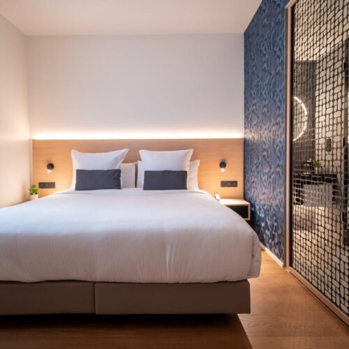 Slaapkamer Premium tweepersoonskamer met bed en badkamer