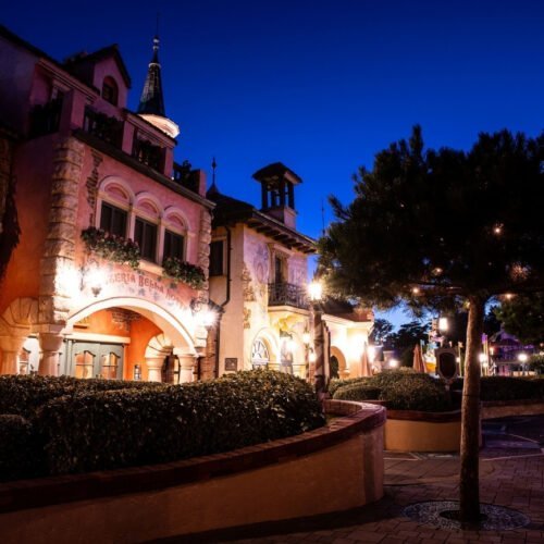 N034037 Bomen en scheve roze gebouwen van Bella Note in Fantasyland