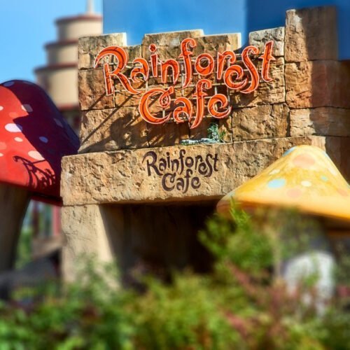 8 Entree Rainforest cafe met rode en gele paddenstoelen