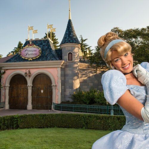 15 Assepoester bij het Princes paviljoen